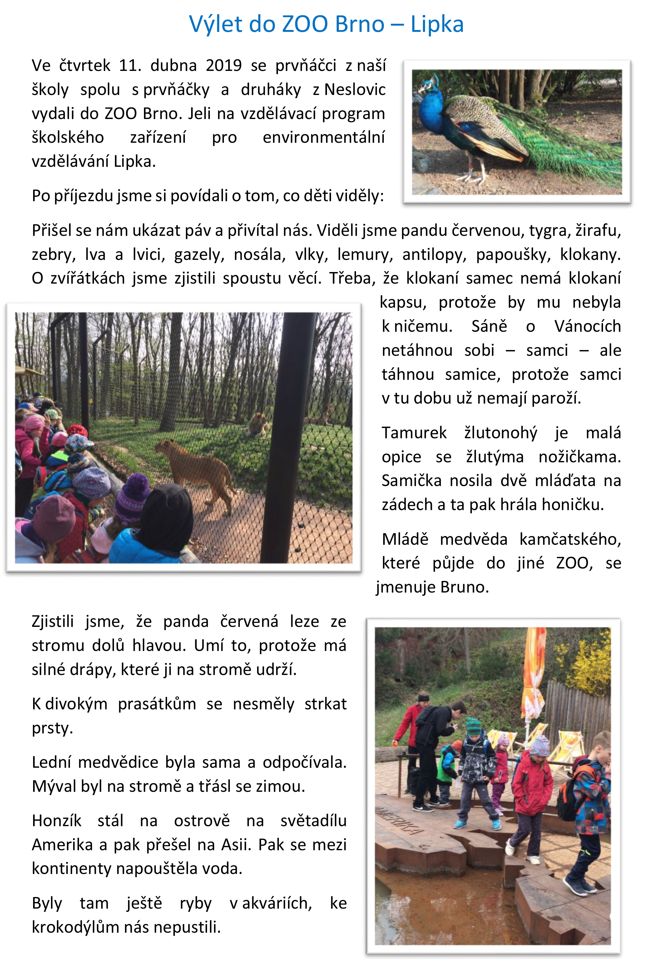 17 Zoo Brno 2019 prvnaci