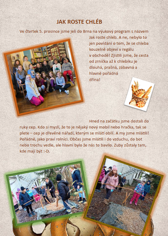 Jak roste chleb 3B